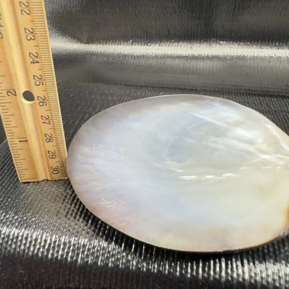 1999 Natural Abalone Shell‎ Iridescent Smooth Etched Mother Of Pearl World Peace